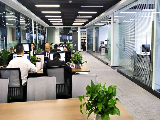 金华唐山鼠尾胶原