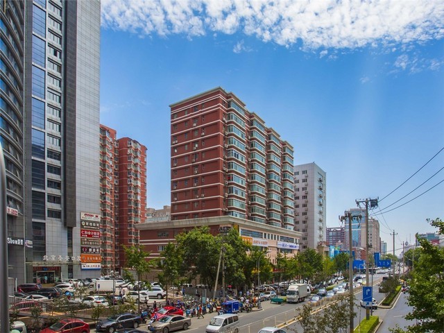 山东防虫小麦种子批发